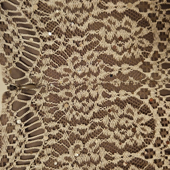 Taupe Lacey Dress| Jessica Howard| W Sz. 14 |Bridal, Winter Formal, Fairycore - Picture 7 of 13